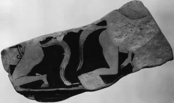 KRATER, VOLUTE, FRAGMENT (ATHENIAN, RED-FIGURE)