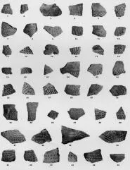VARIOUS (VUCEDOL)