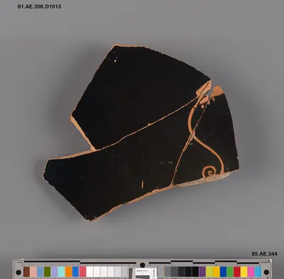 Attic Red-Figure Neck Amphora Fragment