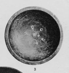 BOWL (SOUTH ITALIAN, CAMPANIAN, BLACK GLAZE)