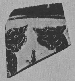 FRAGMENT (ETRUSCAN, BLACK-FIGURE)