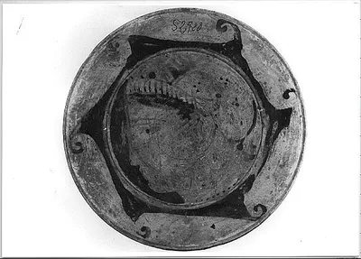 plat