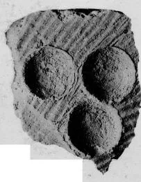 CUP, STEMLESS, FRAGMENT (GALLIC)