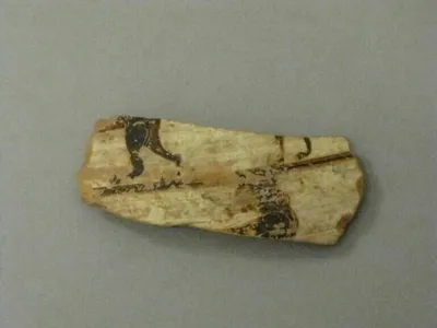 vase fermé