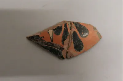 vase fermé