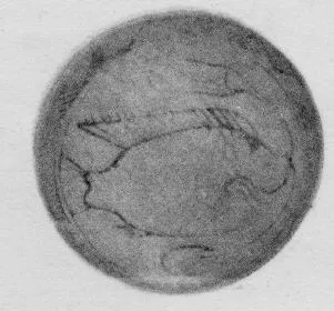 CUP (CYPRIOT)