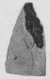 FRAGMENT (ATHENIAN, RED-FIGURE)