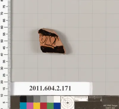 Terracotta fragment of a pot