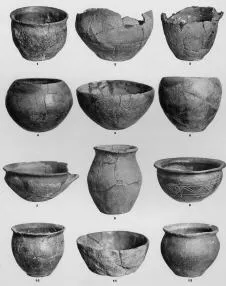 VARIOUS (VELIKA GORICA)