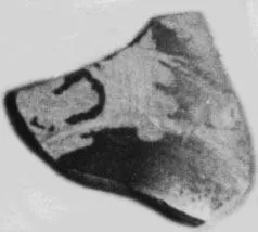 CUP, FRAGMENT (ATHENIAN, RED-FIGURE)