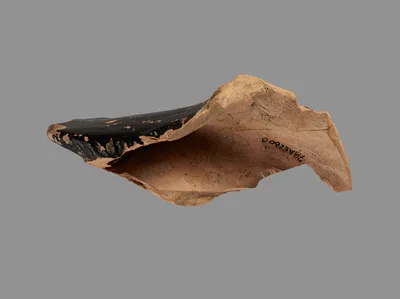 One fragment of a Duck Askos