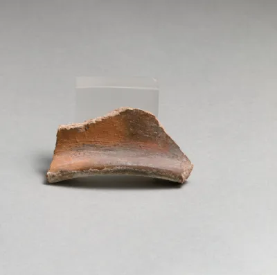 Vase fragment