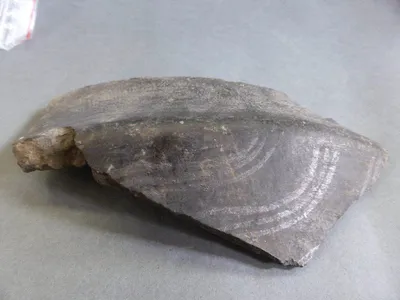 vase ; fragment