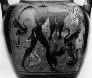AMPHORA, NECK (ATHENIAN, BLACK-FIGURE)