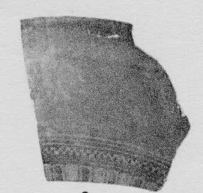 PYXIS LID, FRAGMENT (ATHENIAN, BLACK-FIGURE)