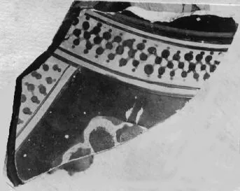 PELIKE, FRAGMENT (ATHENIAN, RED-FIGURE)