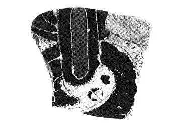 FRAGMENT (CORINTHIAN, BLACK-FIGURE)