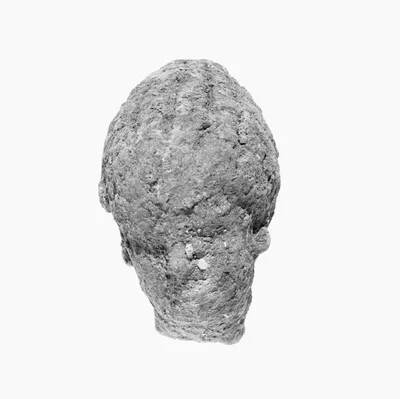 Head with Melon Coiffure