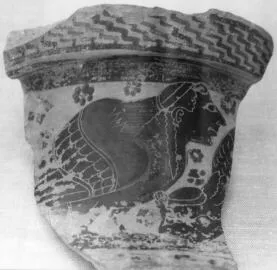 AMPHORA, NECK, FRAGMENT (ATHENIAN, BLACK-FIGURE)