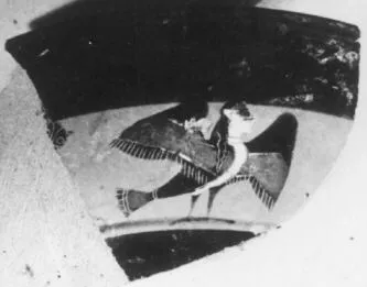 CUP, LITTLE MASTER BAND, FRAGMENTS (ATHENIAN, BLACK-FIGURE)