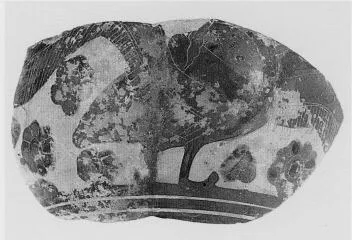 ARYBALLOS, FRAGMENT (CORINTHIAN, BLACK-FIGURE)