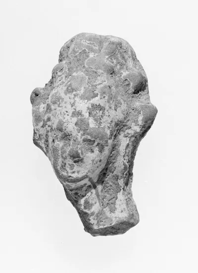 Female Head