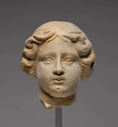 Head of a Woman