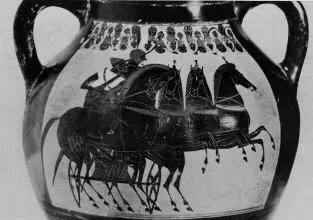 AMPHORA, BELLY, TYPE B (ATHENIAN, BLACK-FIGURE)