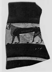 CUP, LITTLE MASTER BAND, FRAGMENT (ATHENIAN, BLACK-FIGURE)