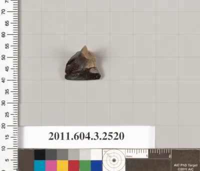 Terracotta fragment of a kylix (drinking cup)