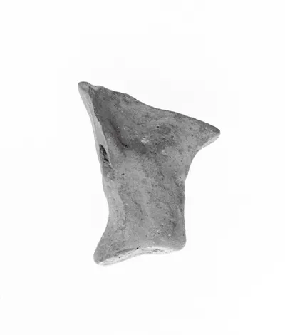 Head Fragment