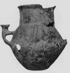 JAR (VILLA NOVA)