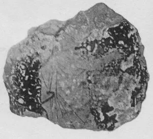 FRAGMENT (ATHENIAN, RED-FIGURE)