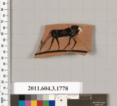 Terracotta rim fragment of a kylix: Lip cup (drinking cup)