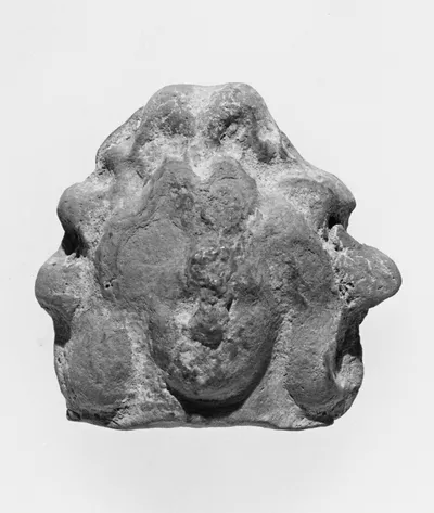 Female Head