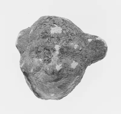 Head of a Comic Actor