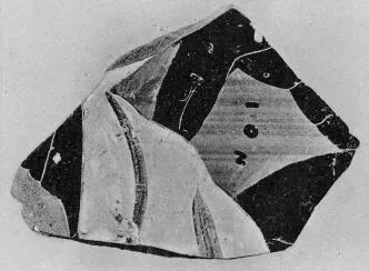 FRAGMENT (ATHENIAN, BLACK-FIGURE)