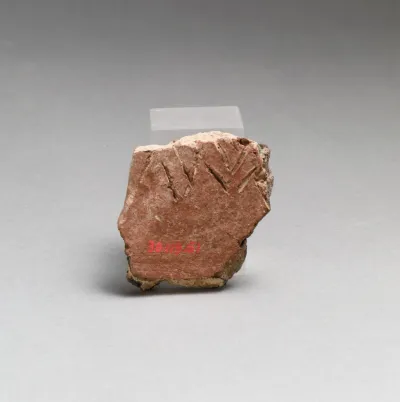 Vase fragment