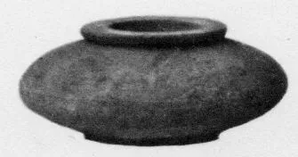 PYXIS (CAPENA)