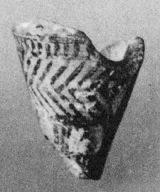AMPHORA, NECK, FRAGMENT (EAST GREEK, OUTLINE)