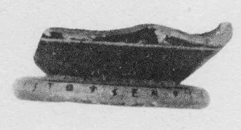 SKYPHOS, FRAGMENT (ATHENIAN, RED-FIGURE)