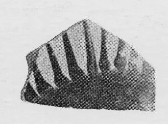 CUP, FRAGMENT (ATHENIAN, BLACK-FIGURE)