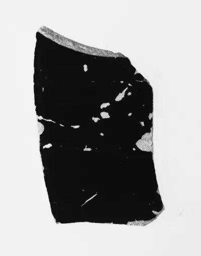 Attic Panathenaic Amphora Fragment