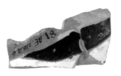 Attic Red-Figure Duck Askos Fragment (comprised of 2 joined fragments)