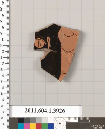 Terracotta fragment of a kylix (drinking cup)