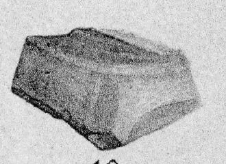 AMPHORA, BELLY, FRAGMENT (PROTOATTIC)