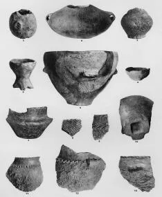 VARIOUS (SARVAS)