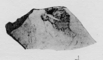 LEKYTHOS, FRAGMENT (ATHENIAN, RED-FIGURE)