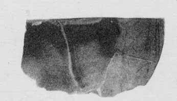 CUP, FRAGMENT (ATHENIAN, RED-FIGURE)