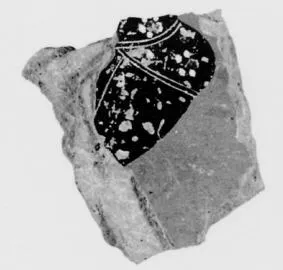 LEKYTHOS, FRAGMENT (ATHENIAN, BLACK-FIGURE)